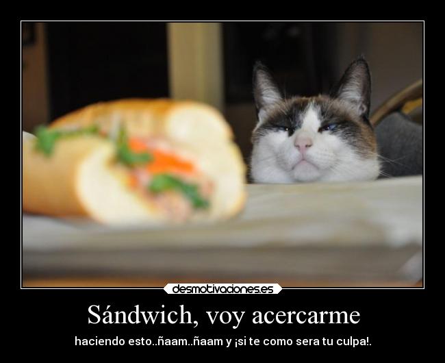Sándwich, voy acercarme - haciendo esto..ñaam..ñaam y ¡si te como sera tu culpa!.