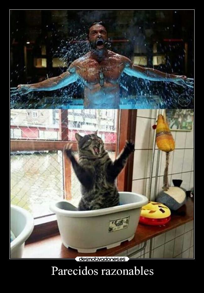 carteles humor desmotivaciones