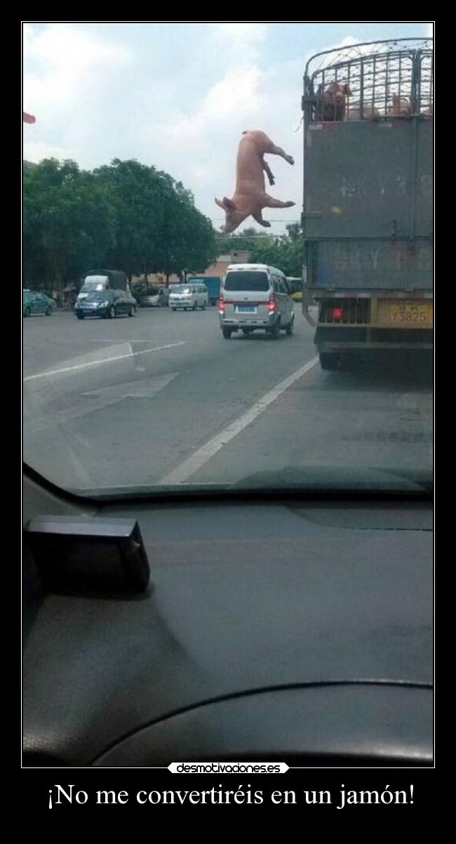 ¡No me convertiréis en un jamón! - 