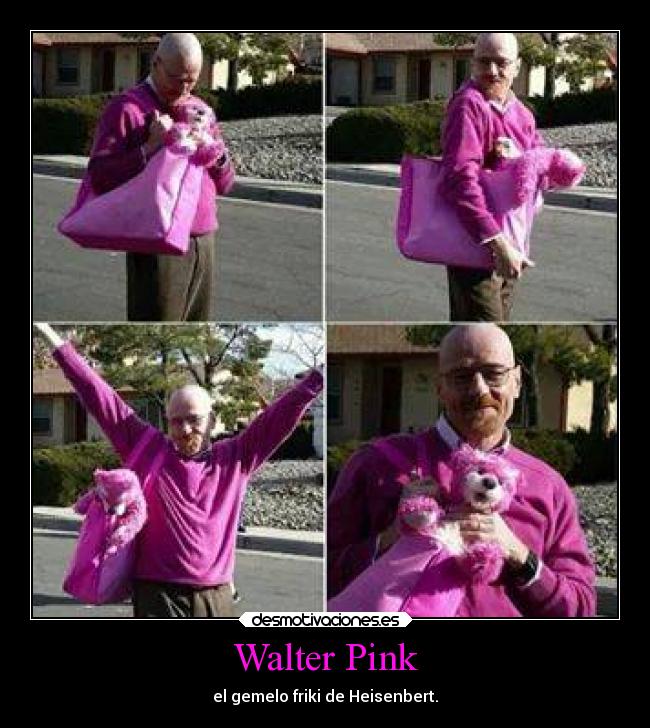 Walter Pink - el gemelo friki de Heisenbert.