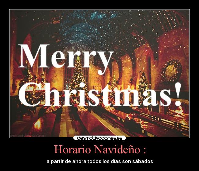 Horario Navideño : - a partir de ahora todos los días son sábados