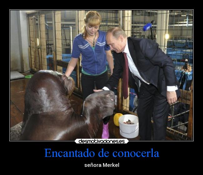 Encantado de conocerla - 