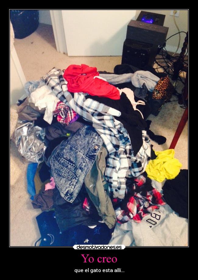 Yo creo - que el gato esta allí...