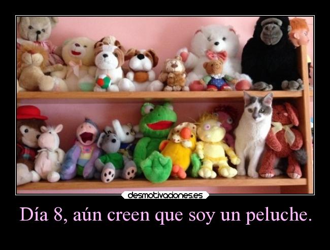 Día 8, aún creen que soy un peluche. -