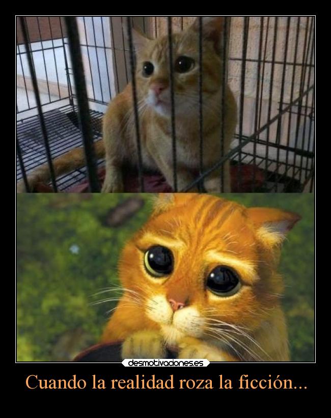 Cuando la realidad roza la ficción... - 