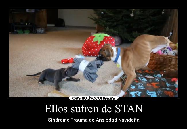 carteles humor ideas navidad animales enfermedad desmotivaciones