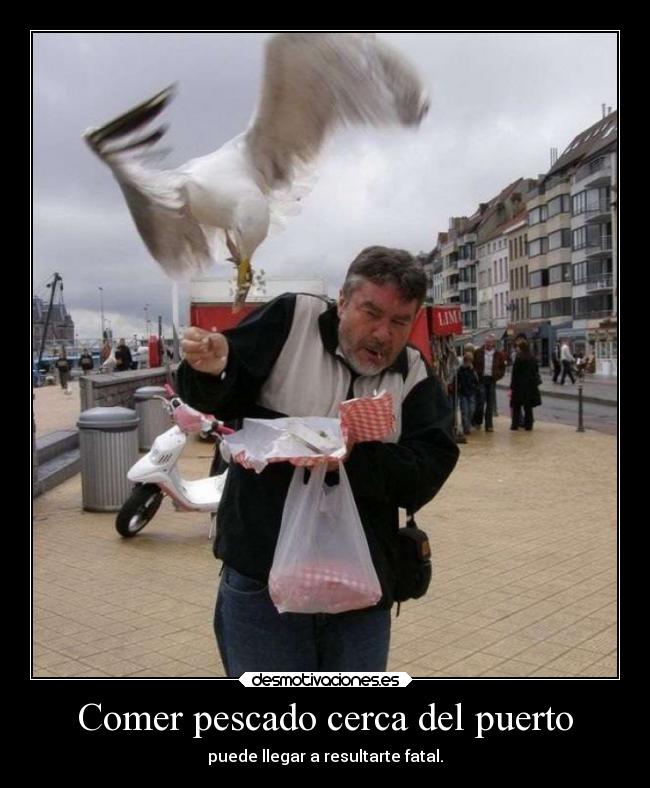Comer pescado cerca del puerto - puede llegar a resultarte fatal.