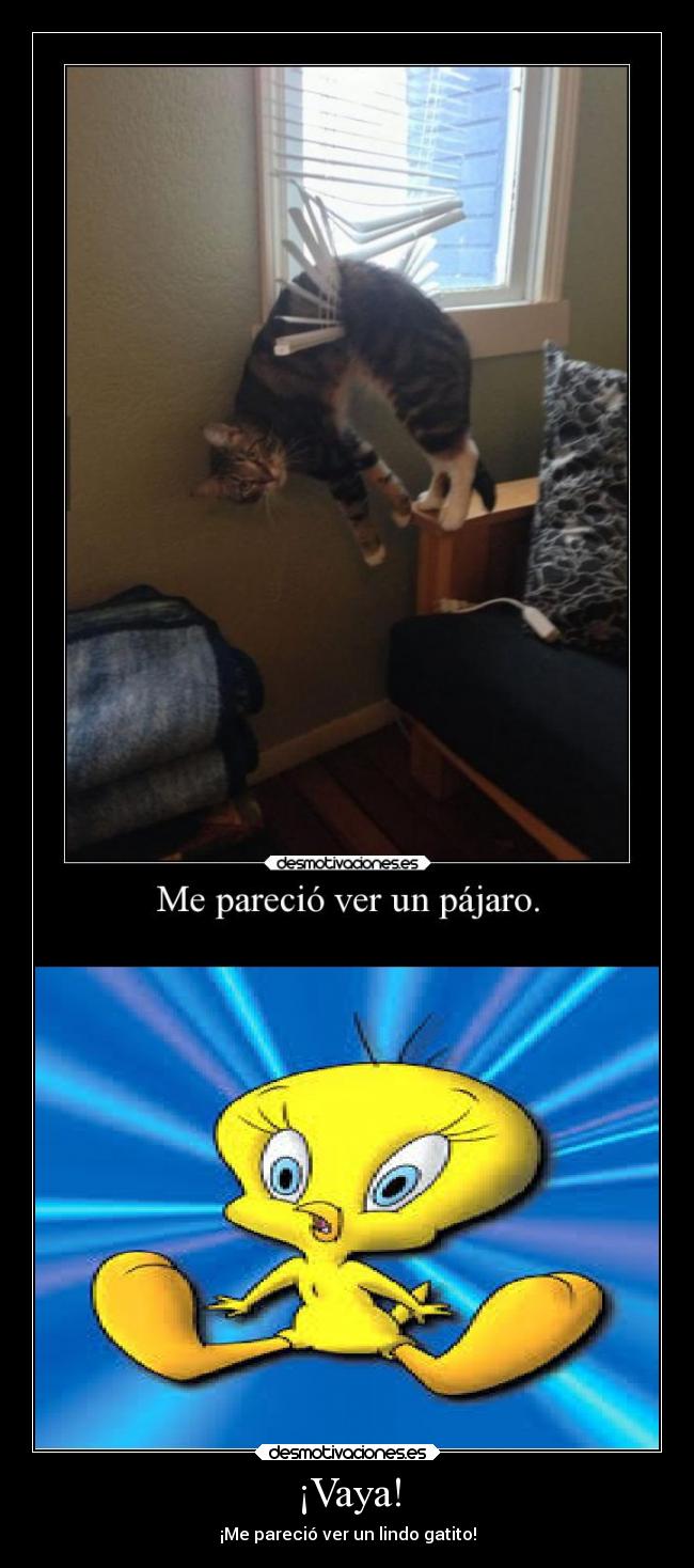 carteles humor meparecioverunlindogatito piolin desmotivaciones