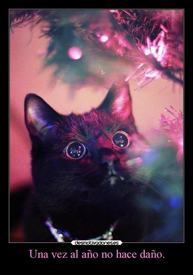 carteles humor navidad gatos drogas singracia elbuskador desmoc3 desmotivaciones