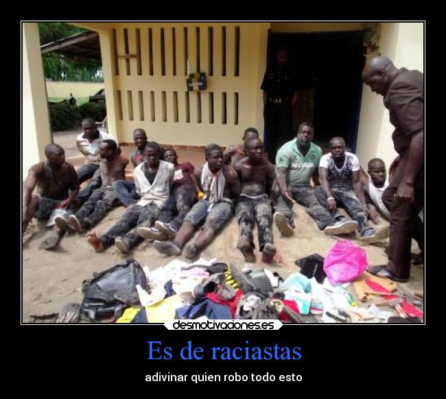 carteles humor negros pandas desmotivaciones