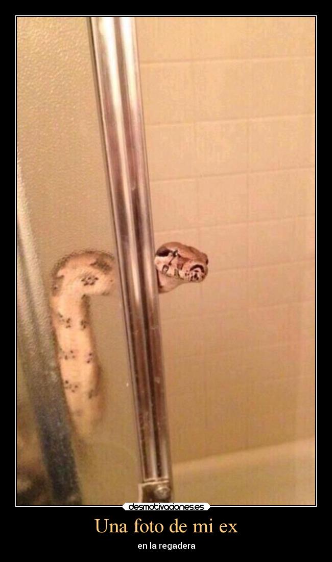 Una foto de mi ex -