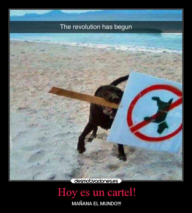 Hoy es un cartel! -