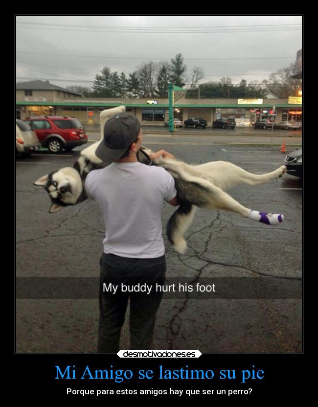Mi Amigo se lastimo su pie - Porque para estos amigos hay que ser un perro?