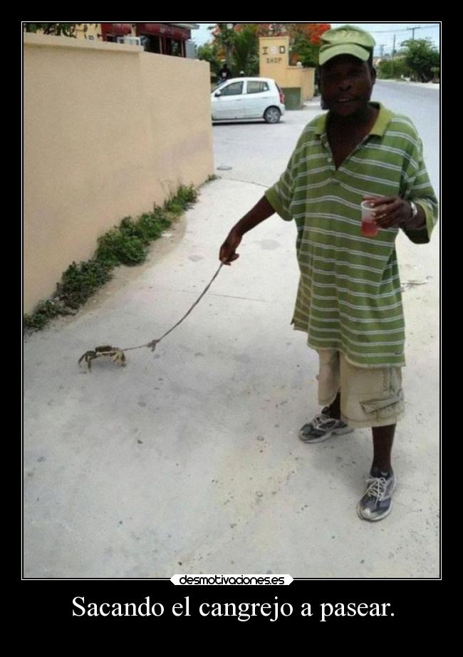 Sacando el cangrejo a pasear. -