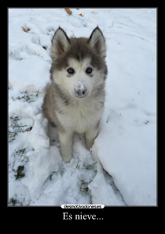 Es nieve... -
