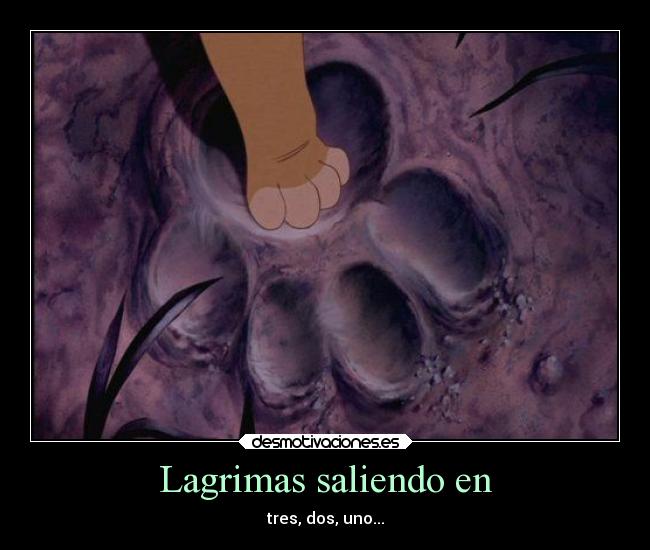 Lagrimas saliendo en -