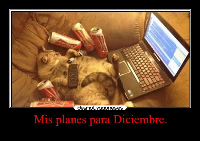 Mis planes para Diciembre. - 