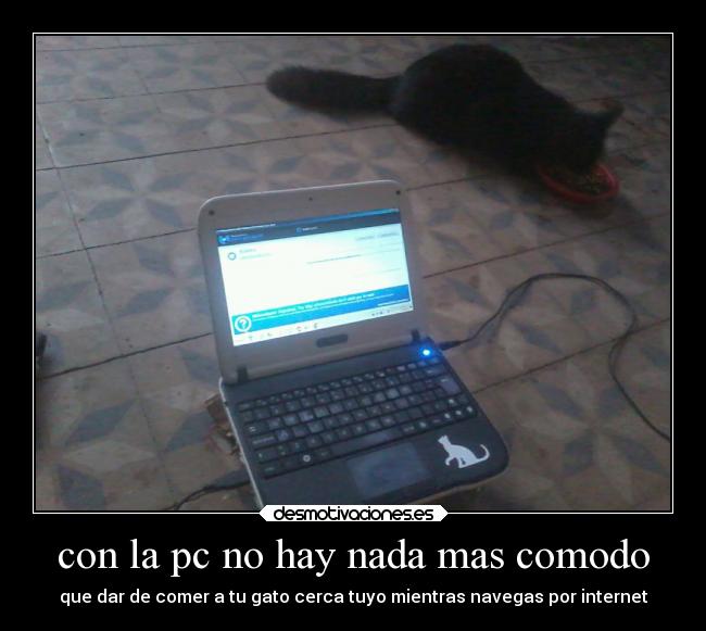 carteles internet gatos computadora comodidad gato negro desmotivaciones