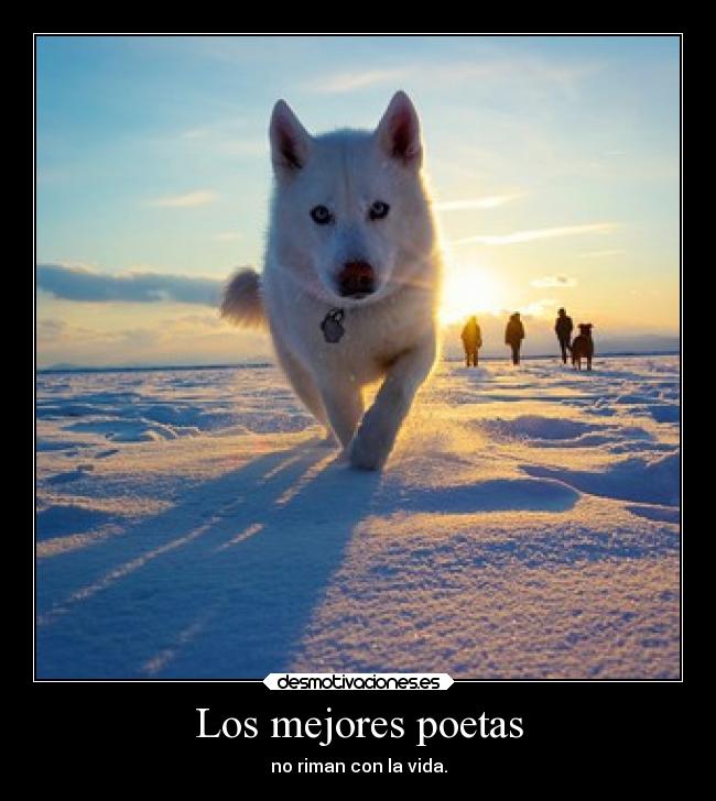 Los mejores poetas -