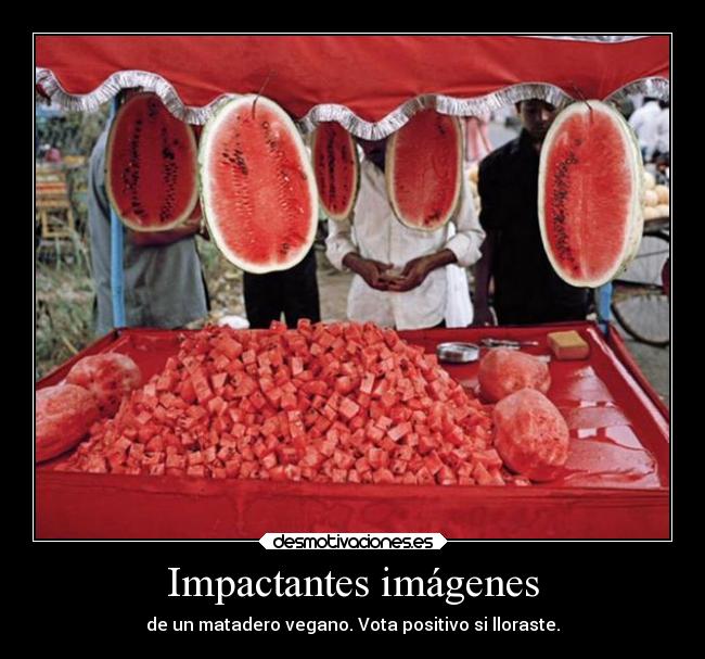 Impactantes imágenes -
