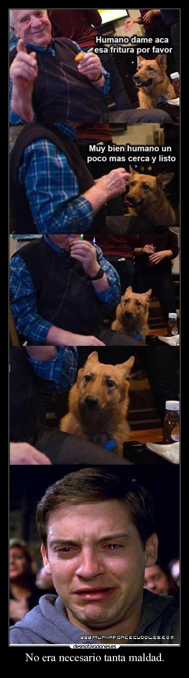 No era necesario tanta maldad. -