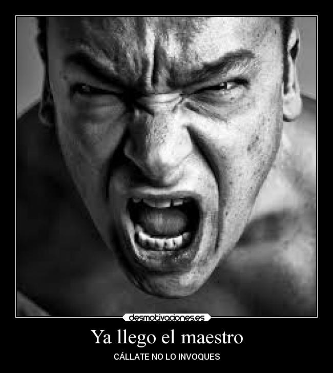 Ya llego el maestro - 