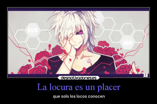 carteles locura videojuegos anime elsword add desmotivaciones