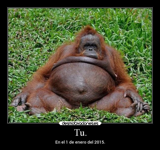 Tu. - En el 1 de enero del 2015.