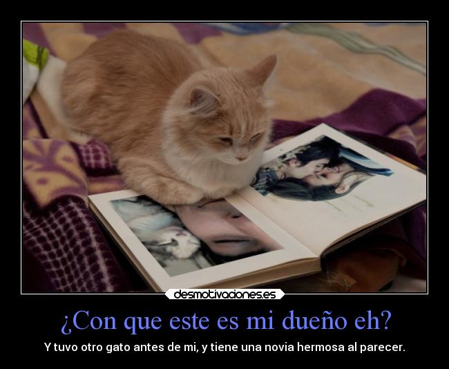 ¿Con que este es mi dueño eh? -