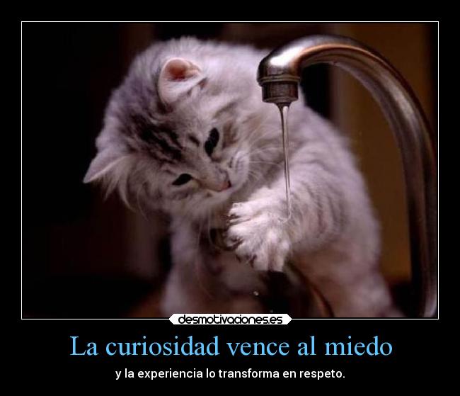 La curiosidad vence al miedo -