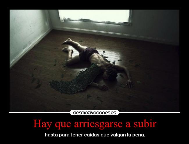 Hay que arriesgarse a subir - hasta para tener caídas que valgan la pena.