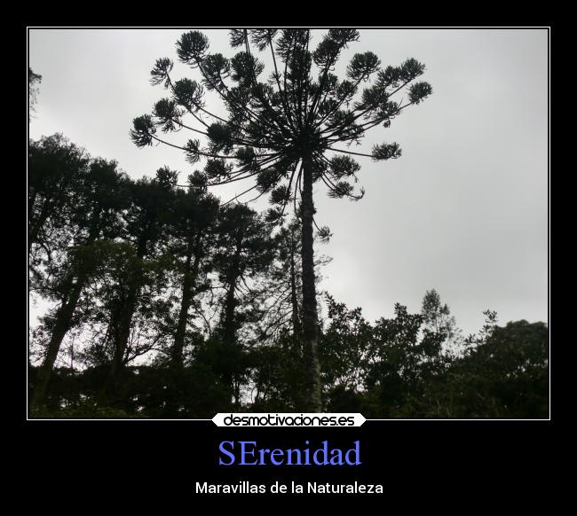 carteles motivaciones desmotivaciones