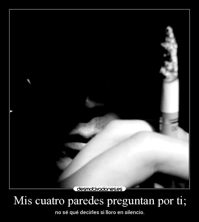 carteles muerte amm condena elefante y5y6 desmotivaciones