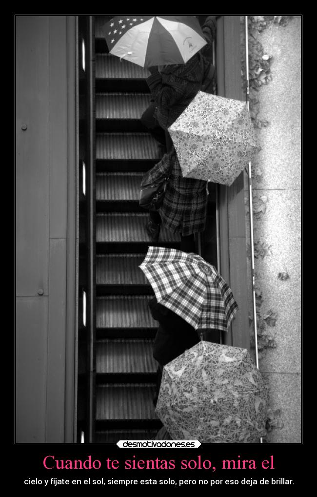 carteles muerte motivaciones miedo mexico mentira memes madurar madre locura desmotivaciones