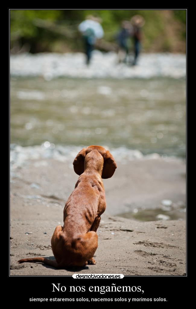 No nos engañemos, - siempre estaremos solos, nacemos solos y morimos solos.