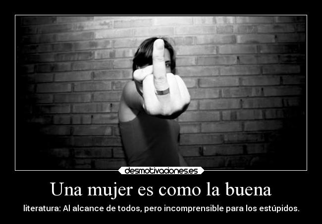 carteles mujer literatura mujer desmotivaciones