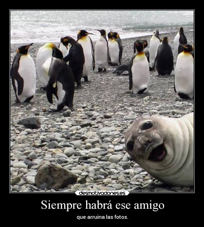 Siempre habrá ese amigo - que arruina las fotos.