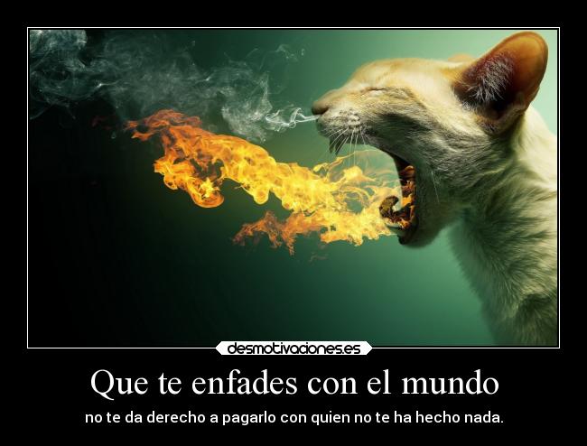 Que te enfades con el mundo -