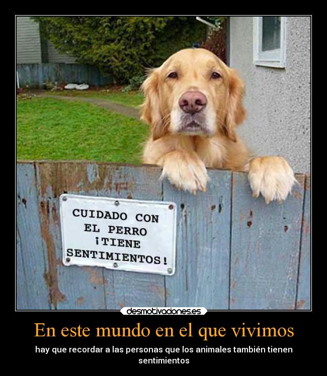 En este mundo en el que vivimos -