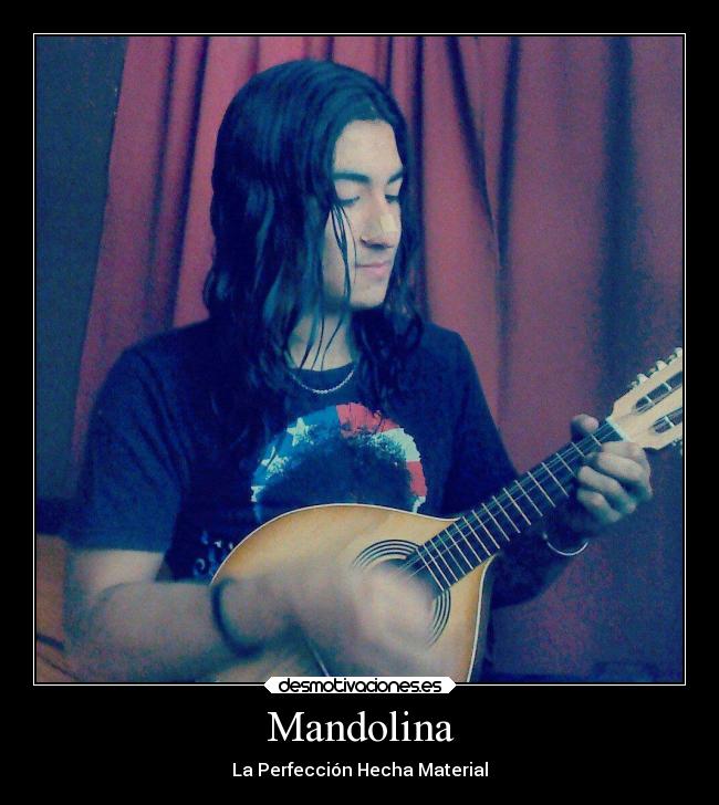 Mandolina - La Perfección Hecha Material