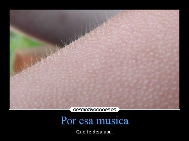 carteles musica musica placer desmotivaciones