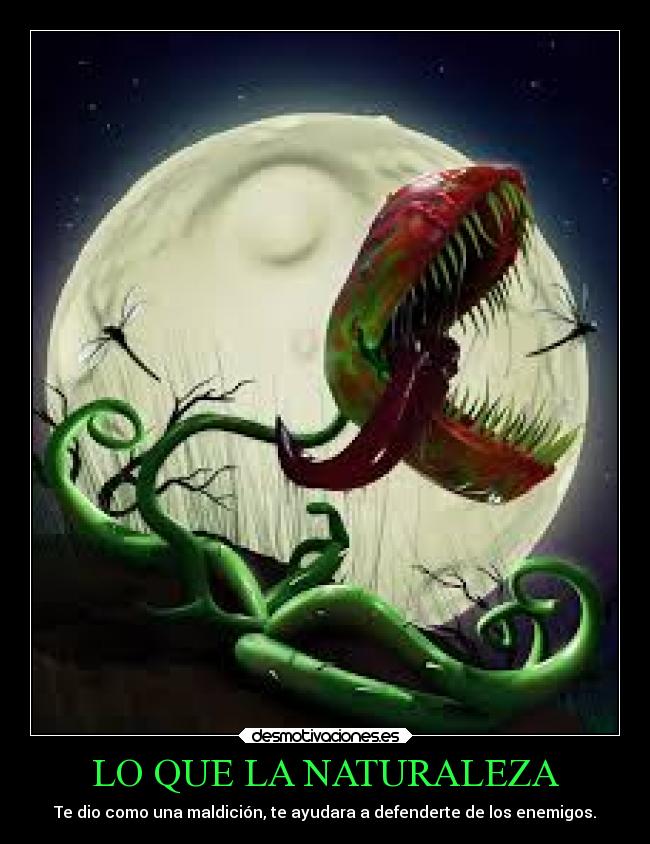 LO QUE LA NATURALEZA - 