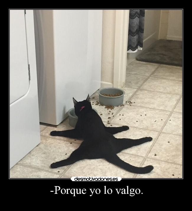 -Porque yo lo valgo. - 