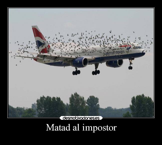 Matad al impostor - 