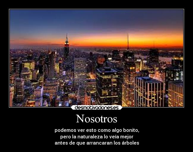 Nosotros - podemos ver esto como algo bonito,
pero la naturaleza lo veía mejor
antes de que arrancaran los árboles