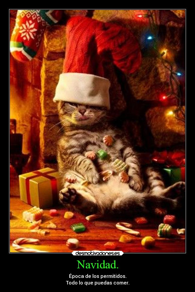 Navidad. - Época de los permitidos.
Todo lo que puedas comer.