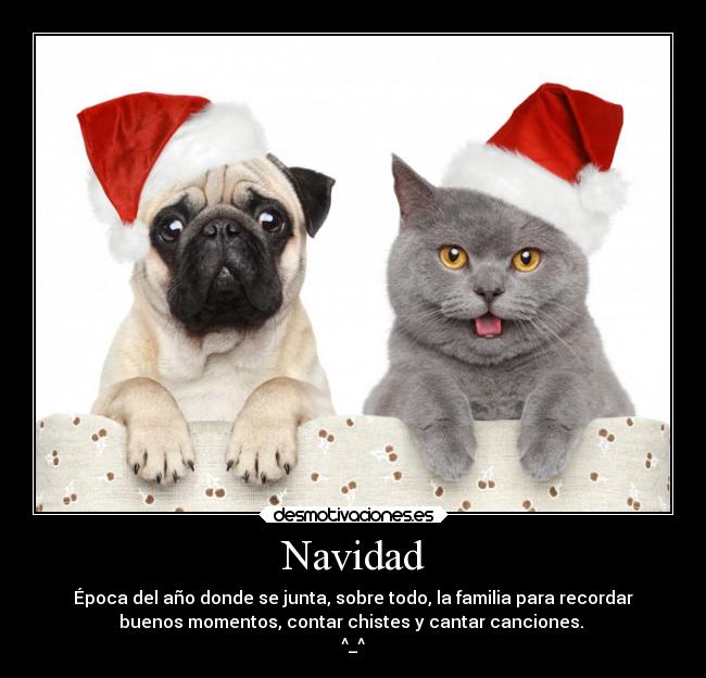 Navidad - Época del año donde se junta, sobre todo, la familia para recordar
buenos momentos, contar chistes y cantar canciones.
^_^