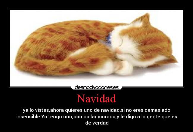 Navidad - 