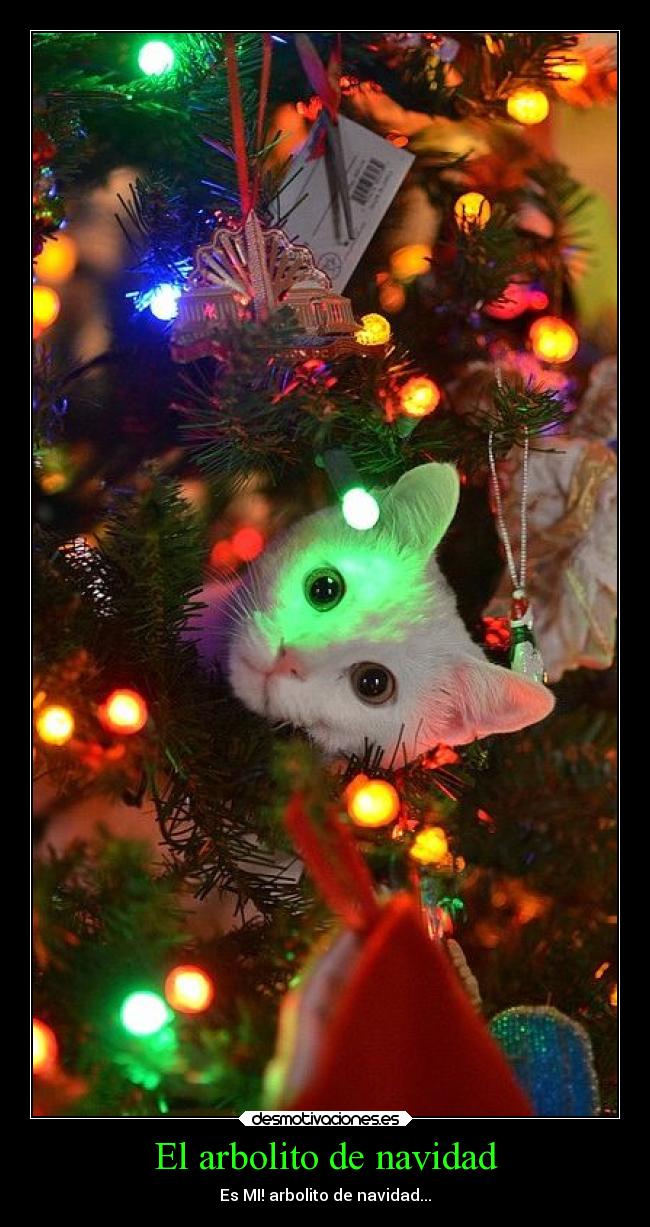 El arbolito de navidad - 