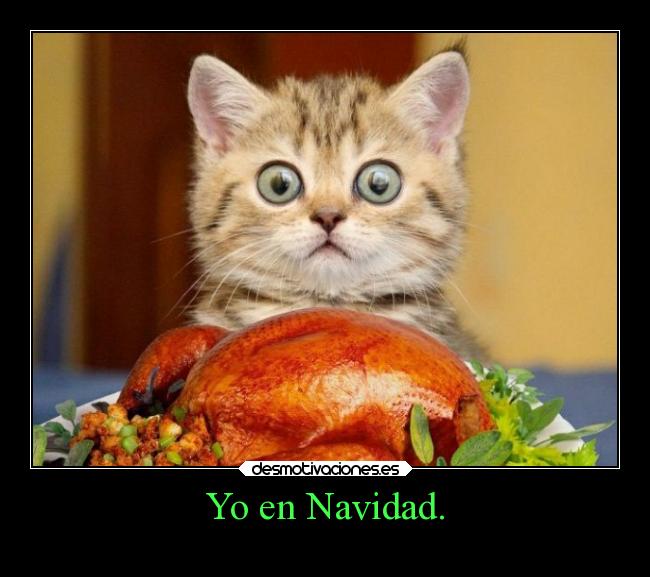 Yo en Navidad. -